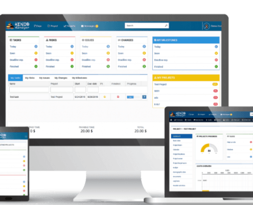 Municipal Project Management Software